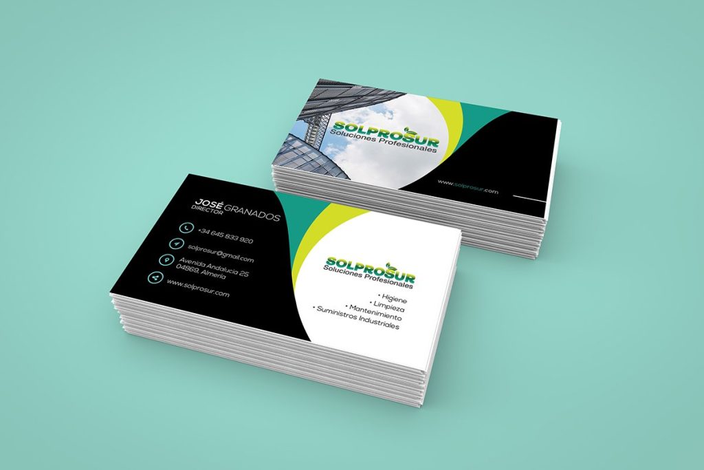 SOLPROSUR Mockup