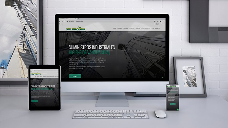 solprosur diseño web
