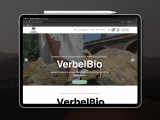 diseño paginas web el Ejido